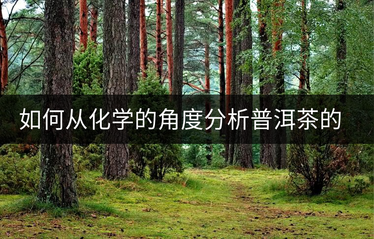 如何從化學的角度分析普洱茶的口感？