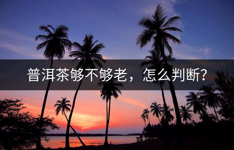 普洱茶夠不夠老，怎么判斷？