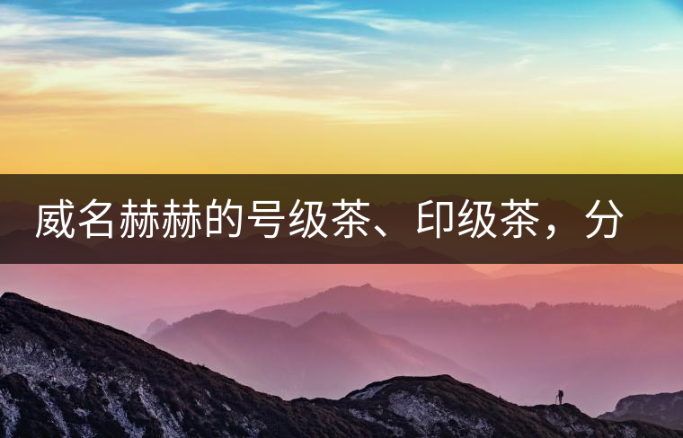 威名赫赫的號級茶、印級茶，分別是些什么普洱茶？
