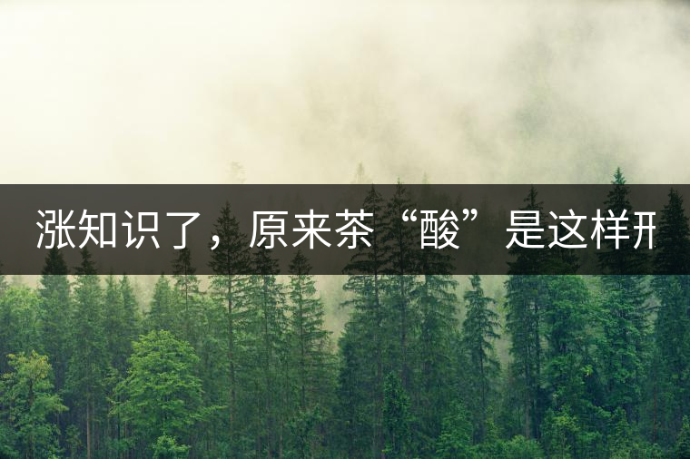 漲知識了，原來茶“酸”是這樣形成的！