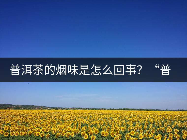 普洱茶的煙味是怎么回事？“普洱教父”白水清最新解析！