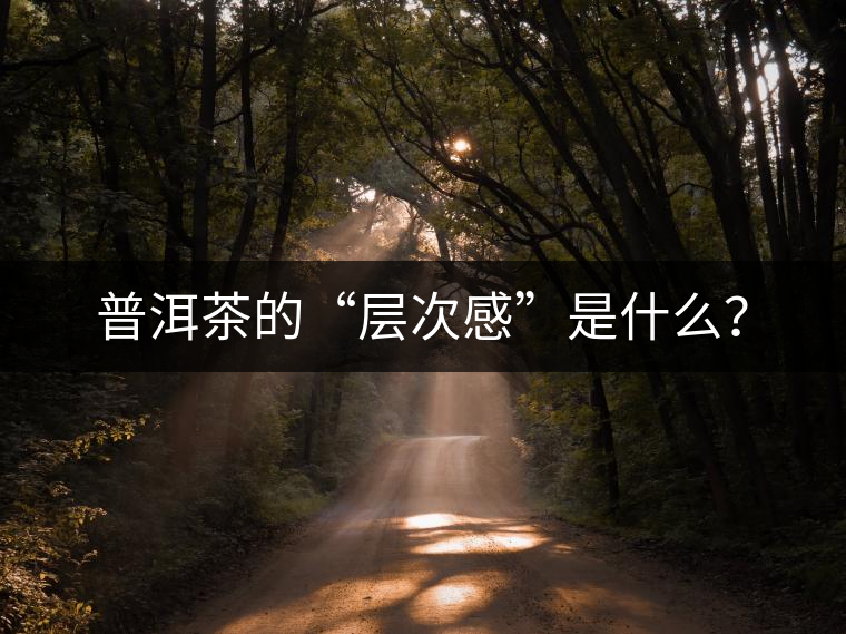 普洱茶的“層次感”是什么？