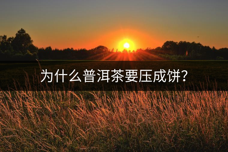 為什么普洱茶要壓成餅？