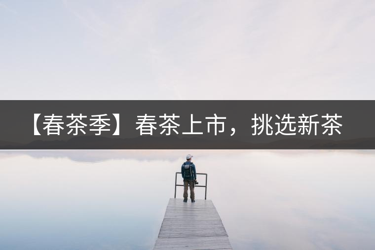 【春茶季】春茶上市，挑選新茶有講究