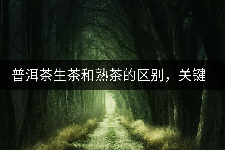 普洱茶生茶和熟茶的區(qū)別，關鍵在于前半生