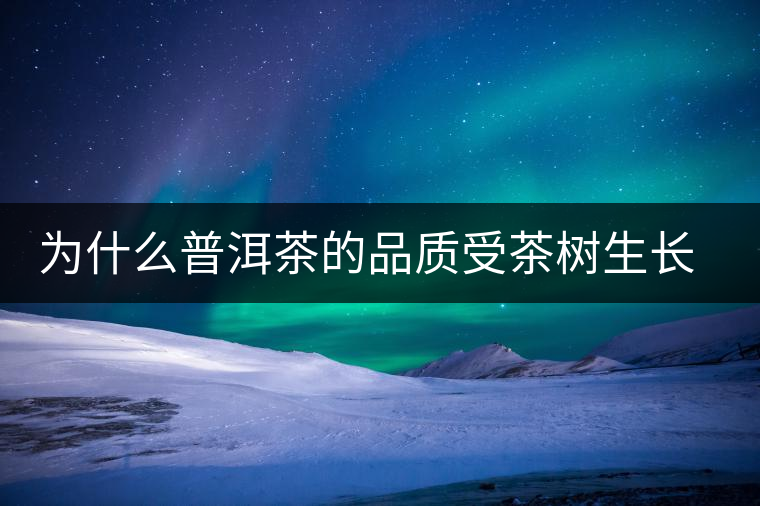 為什么普洱茶的品質(zhì)受茶樹生長(zhǎng)環(huán)境的影響？