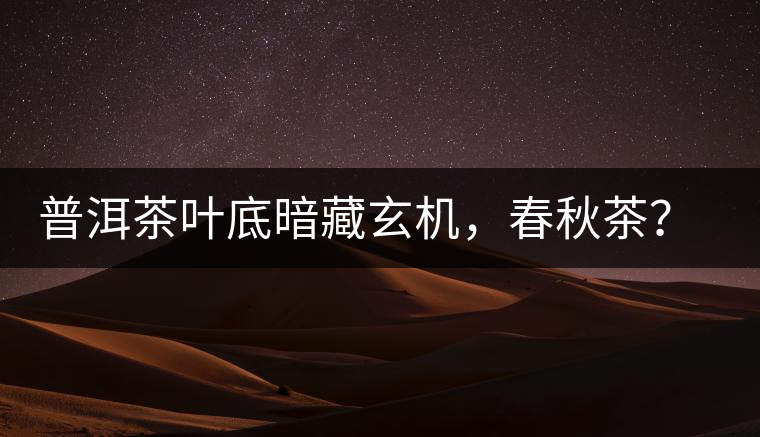 普洱茶葉底暗藏玄機(jī)，春秋茶？大樹(shù)茶？野生茶？班章料？你讀懂了嗎？