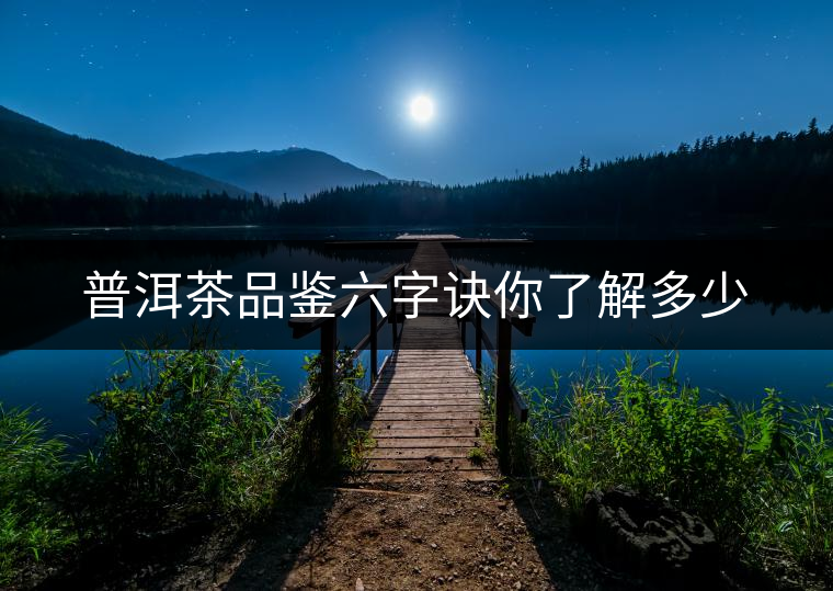 普洱茶品鑒六字訣你了解多少