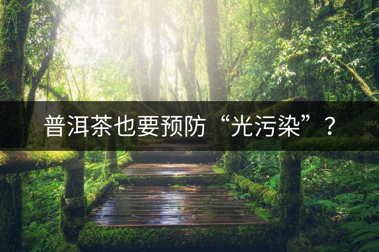 普洱茶也要預(yù)防“光污染”？