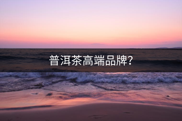 普洱茶高端品牌？