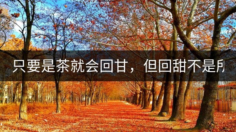 只要是茶就會回甘，但回甜不是所有茶都有！