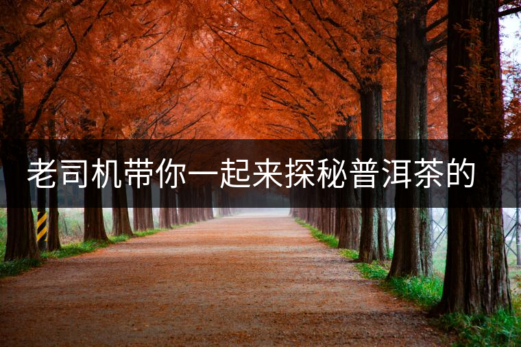 老司機(jī)帶你一起來(lái)探秘普洱茶的葉底 老司機(jī)帶你一起來(lái)探秘普洱茶的葉底