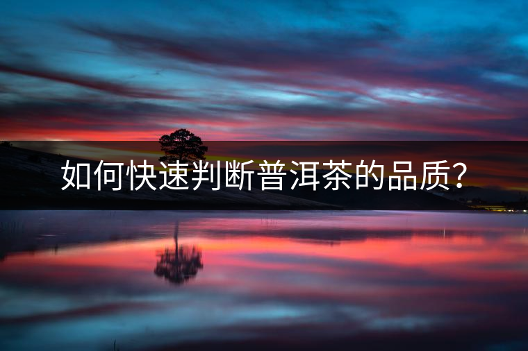 如何快速判斷普洱茶的品質(zhì)？