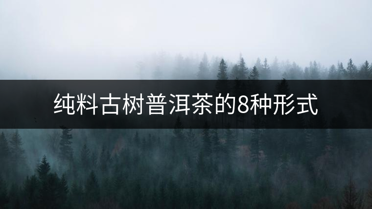 純料古樹普洱茶的8種形式