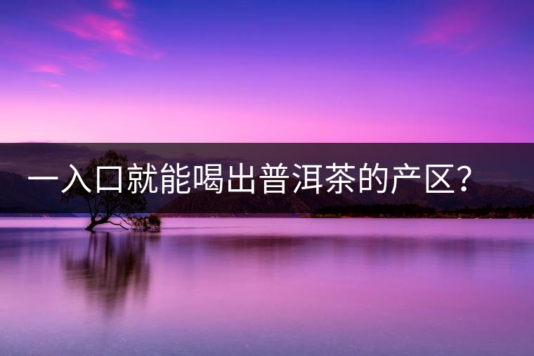 一入口就能喝出普洱茶的產(chǎn)區(qū)？怎么能不讀這篇文章呢？