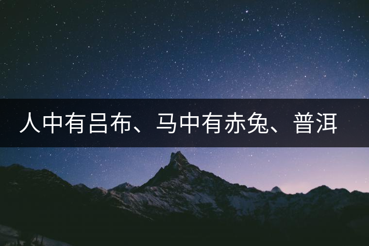 人中有呂布、馬中有赤兔、普洱中有茶化石：碎銀子！