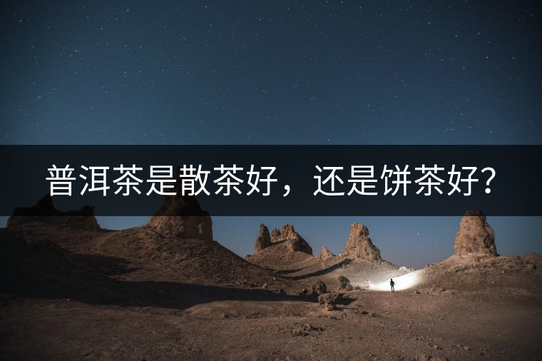 普洱茶是散茶好，還是餅茶好？