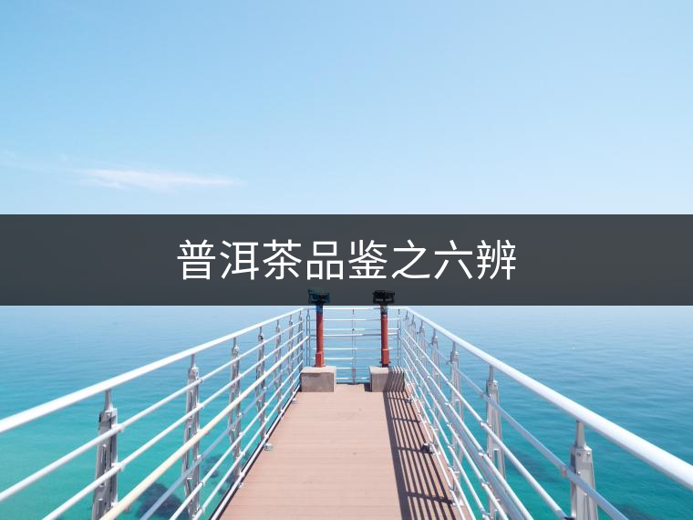 普洱茶品鑒之六辨