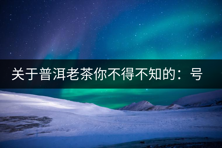 關(guān)于普洱老茶你不得不知的：號(hào)級(jí)茶、印級(jí)茶、七子餅茶