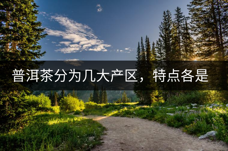 普洱茶分為幾大產(chǎn)區(qū),特點各是什么? 普洱茶分為幾大產(chǎn)區(qū),特點各是什么?