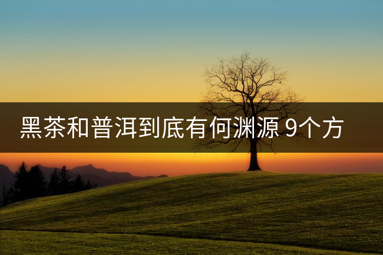 黑茶和普洱到底有何淵源 9個(gè)方面告訴你