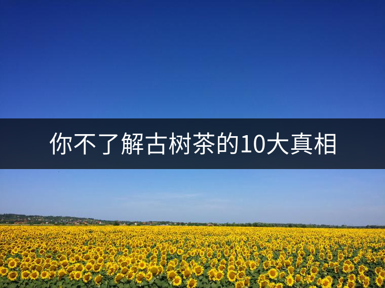 你不了解古樹茶的10大真相