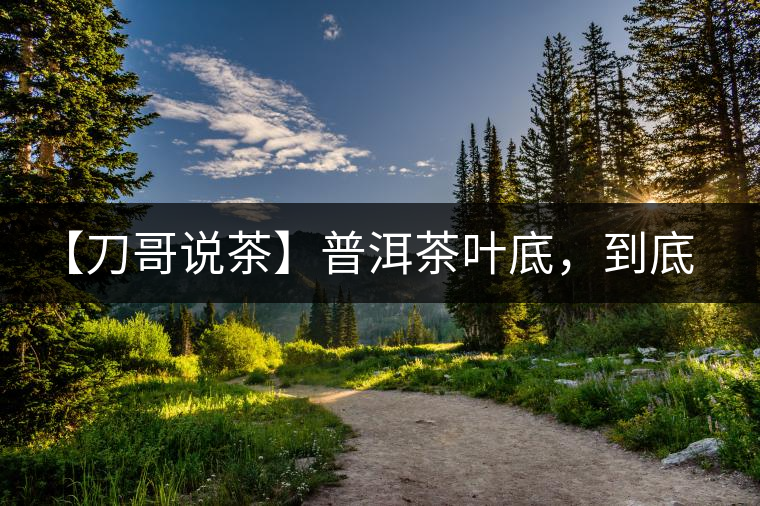 【刀哥說茶】普洱茶葉底，到底藏有多少玄機(jī)？