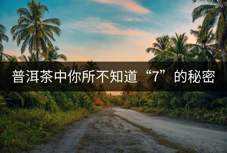 普洱茶中你所不知道“7”的秘密 普洱茶中你所不知道“7”的秘密