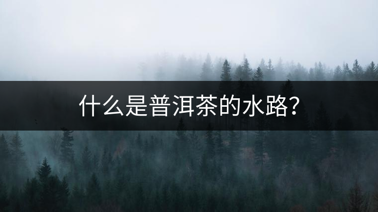 什么是普洱茶的水路？