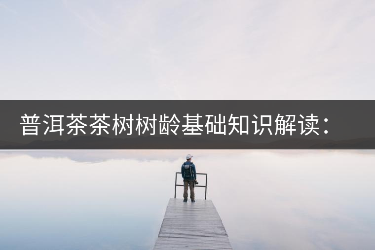 普洱茶茶樹(shù)樹(shù)齡基礎(chǔ)知識(shí)解讀：多大樹(shù)齡的茶才算古樹(shù)茶？