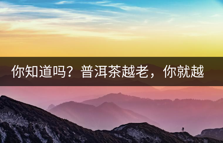 你知道嗎？普洱茶越老，你就越年輕