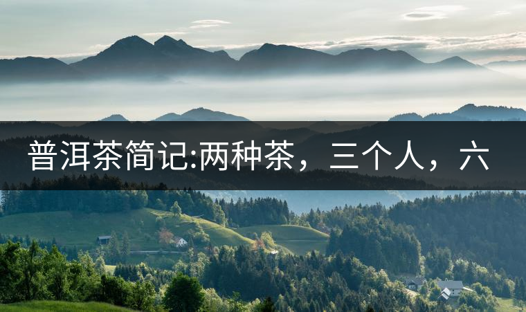 普洱茶簡記:兩種茶，三個人，六座山，七塊餅