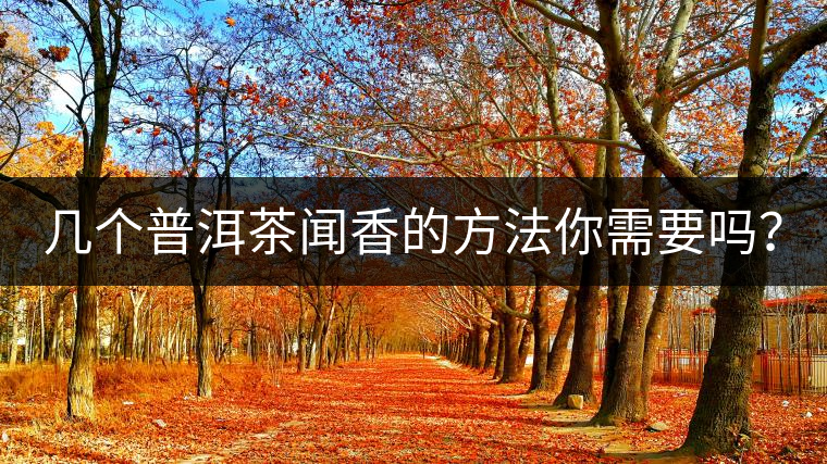 幾個(gè)普洱茶聞香的方法你需要嗎？