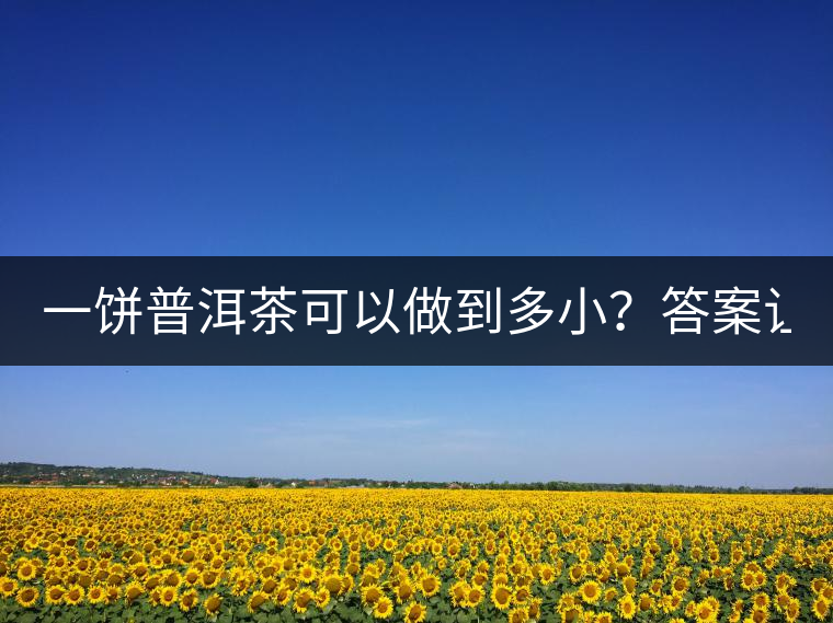 一餅普洱茶可以做到多?。看鸢缸屓艘庀氩坏?.. 一餅普洱茶可以做到多?。看鸢缸屓艘庀氩坏?..