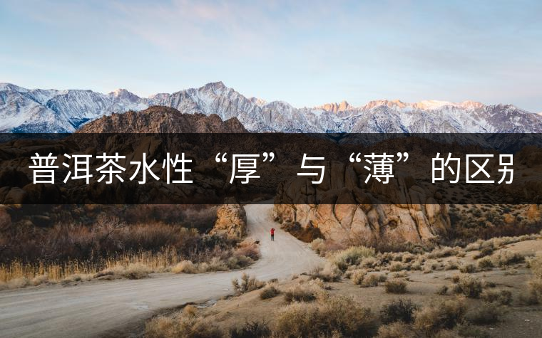 普洱茶水性“厚”與“薄”的區(qū)別！