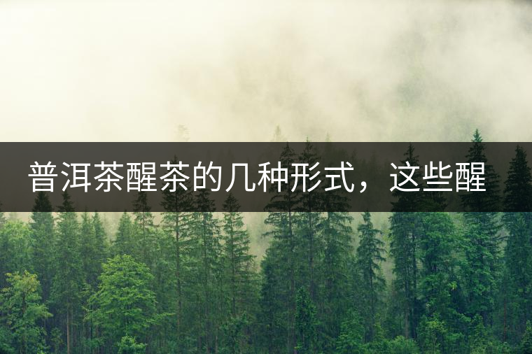 普洱茶醒茶的幾種形式，這些醒茶方法你都會(huì)了嗎？