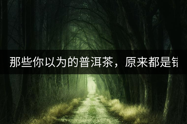 那些你以為的普洱茶，原來(lái)都是錯(cuò)的！
