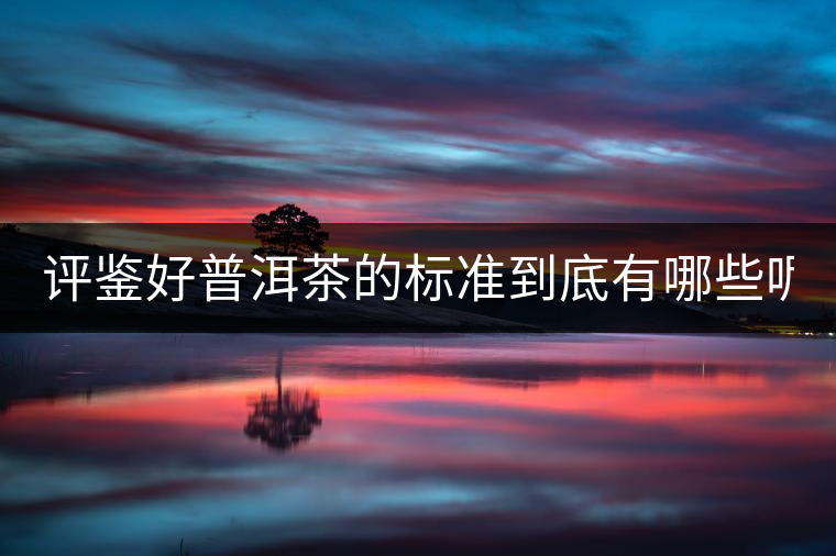 評(píng)鑒好普洱茶的標(biāo)準(zhǔn)到底有哪些呢? 評(píng)鑒好普洱茶的標(biāo)準(zhǔn)到底有哪些呢?