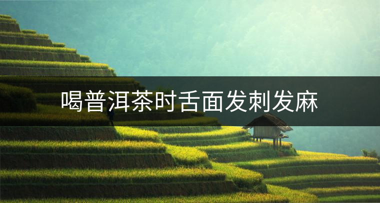 喝普洱茶時舌面發(fā)刺發(fā)麻 喝普洱茶時舌面發(fā)刺發(fā)麻