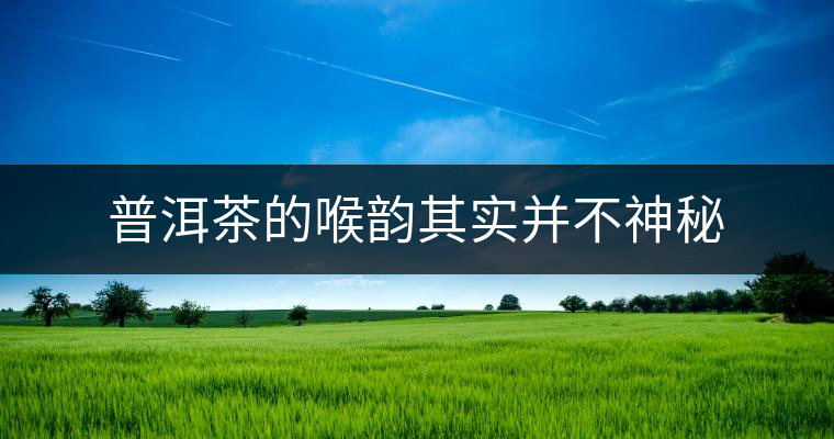 普洱茶的喉韻其實并不神秘 普洱茶的喉韻其實并不神秘
