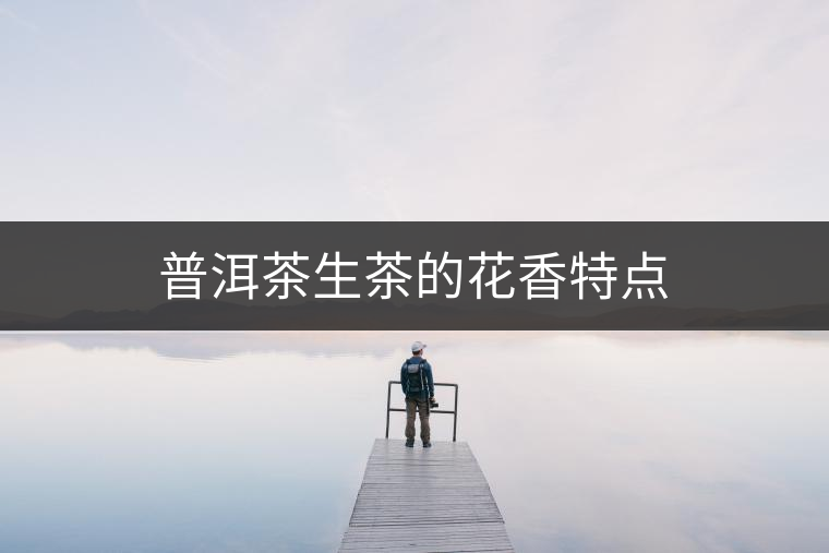 普洱茶生茶的花香特點