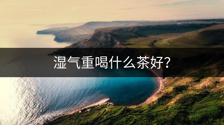 濕氣重喝什么茶好？