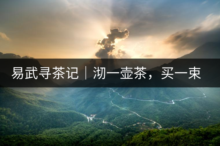 易武尋茶記｜沏一壺茶，買一束花，享半日余暇