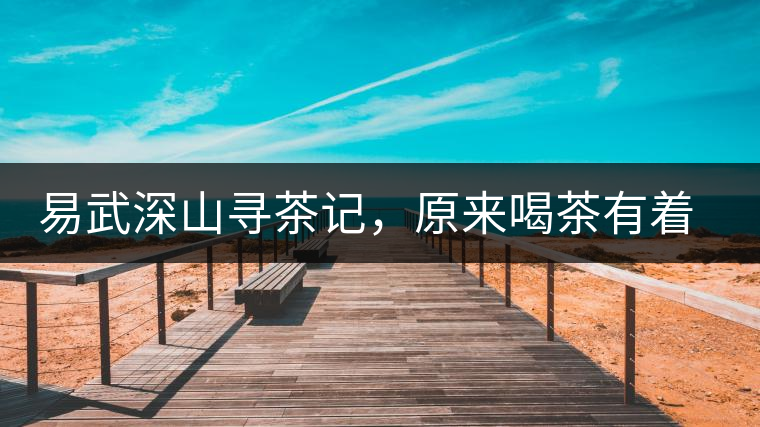 易武深山尋茶記，原來喝茶有著這么多誤區(qū)