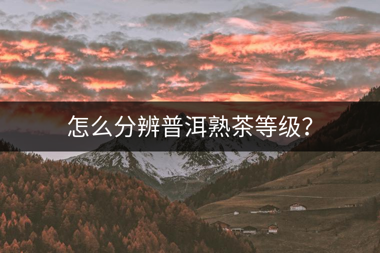 怎么分辨普洱熟茶等級(jí)？