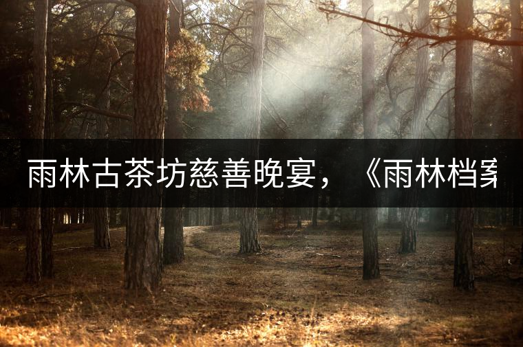 雨林古茶坊慈善晚宴，《雨林檔案·曼松》拍出106萬(wàn)！