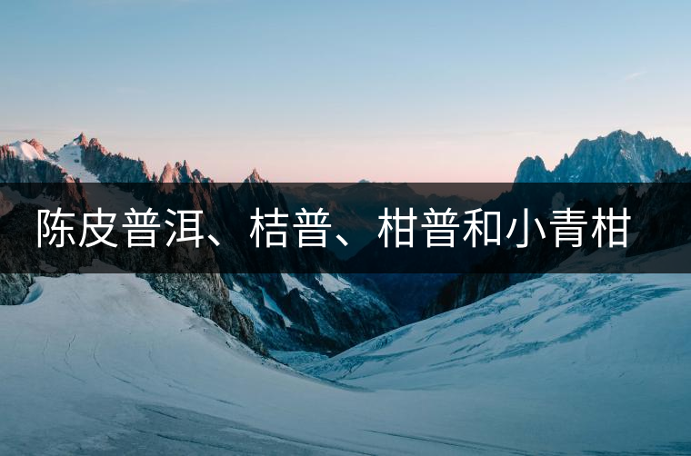陳皮普洱、桔普、柑普和小青柑茶的分辨技巧