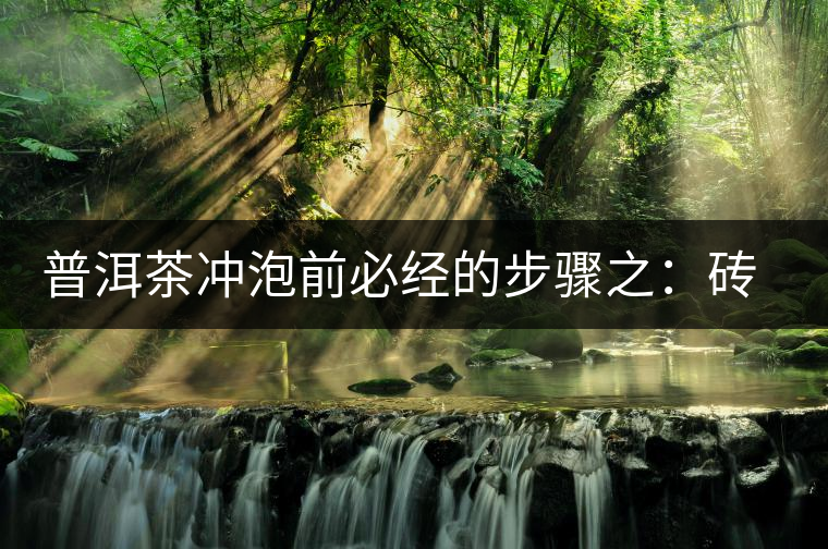 普洱茶沖泡前必經(jīng)的步驟之：磚茶如何撬？