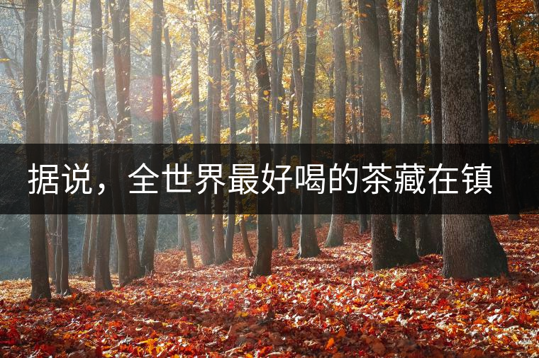 據(jù)說，全世界最好喝的茶藏在鎮(zhèn)沅
