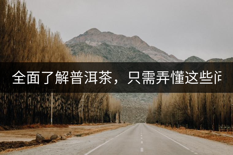 全面了解普洱茶，只需弄懂這些問題！